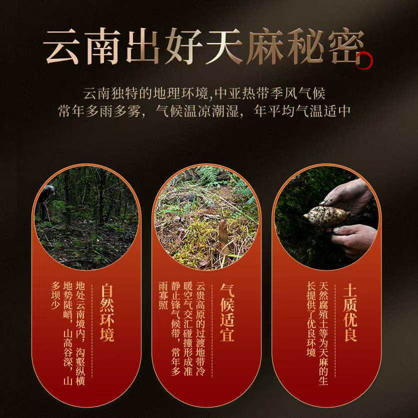 Tian Ma Gastrodia Root 500g Yunnan Zhaotong Black Wild-Crafted Dried Slices for Decoction and Soup overview