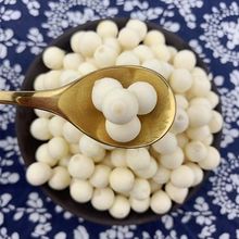 �u�^��2023�K�݄����͌��K�ʹČ��ם����͌���ʳ