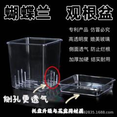 胡蝶蘭観根コントロール根高透明プラスチック角型特許厚い植木鉢通気帯側穴防止腐った根