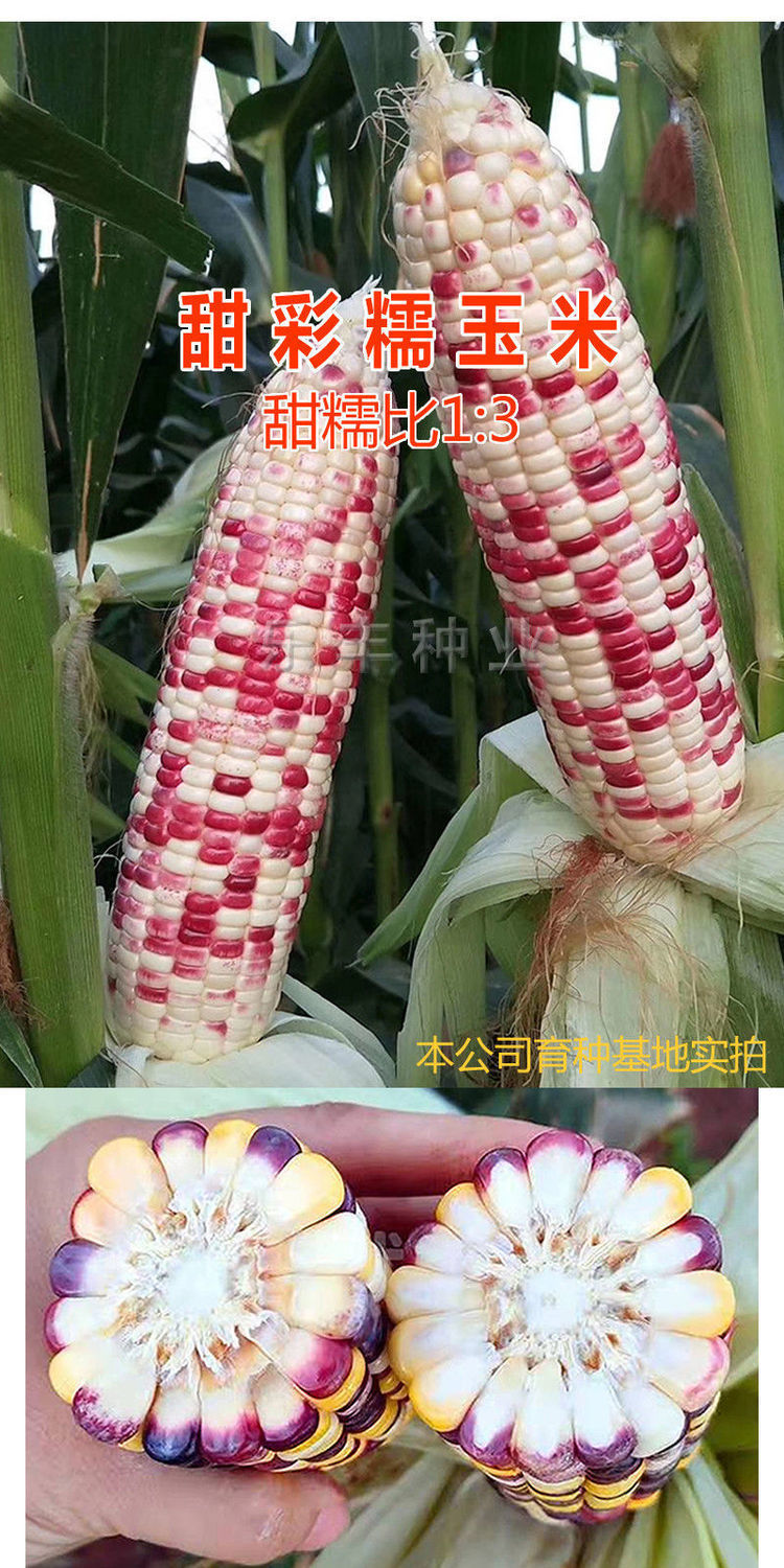 a9119805098dcbc2865d490e0ae83d