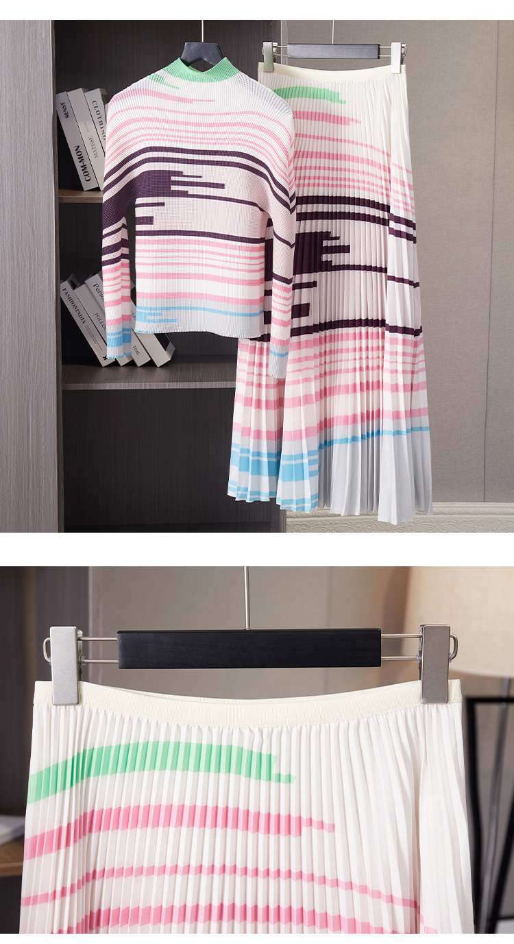 Pleated Skirt Set Image 1