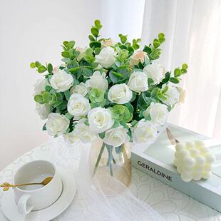 �羳���滨 5���ȼ���Сõ��ٻ���c�bҾӻ�Y�������S��ֱ��