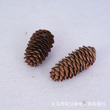 【云杉松果】圣诞装饰diy松塔天然干花干果长松果鳞片松桌面摆件