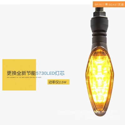 Motorcycle lamp assembly Decorative Motorcycle Turn Signal