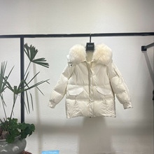 冬季海宁高端女装狐狸毛领鹅绒服冬季休闲轻奢皮草鹅绒外套A2310