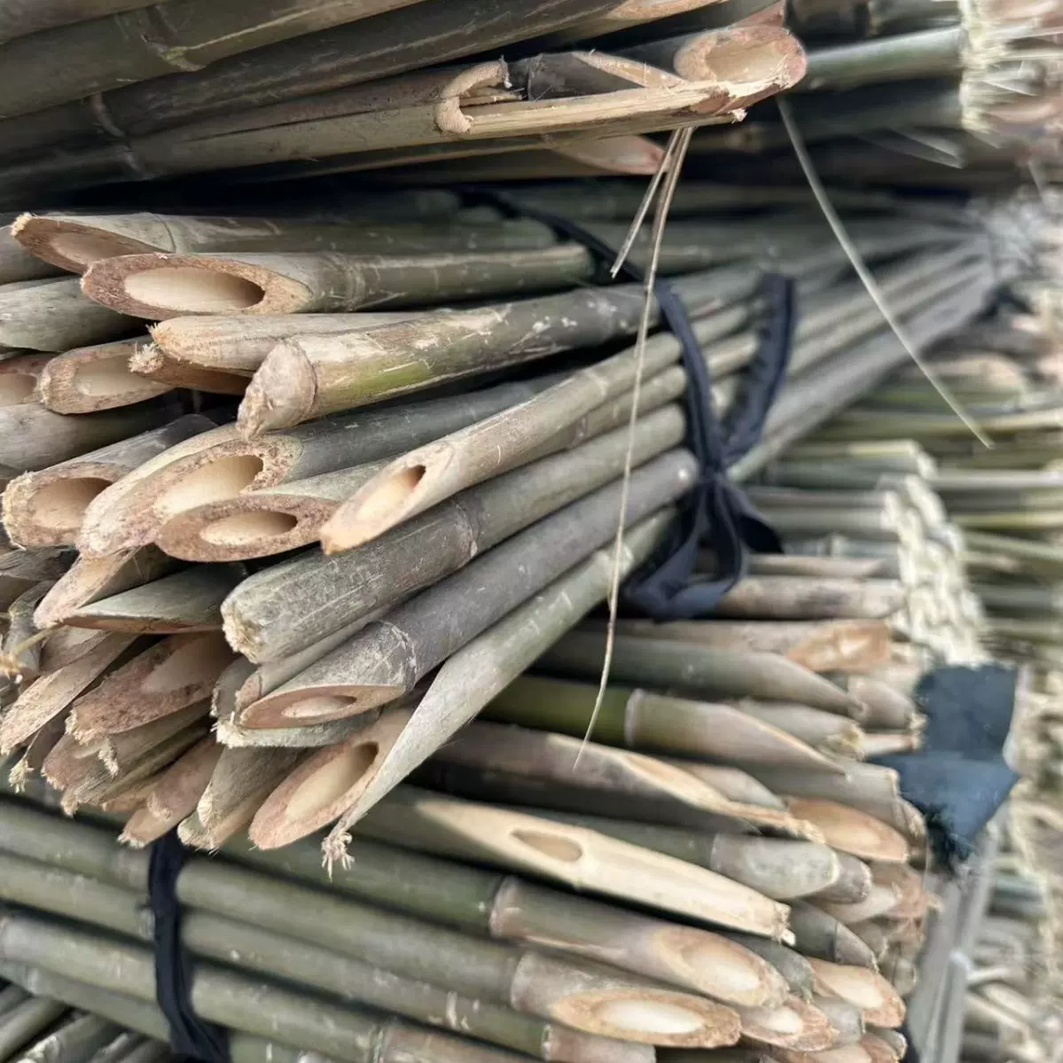 竹竿批发架冬瓜豆角西红柿爬藤杆插枸杞山药用竹竿菜架竹源头产地