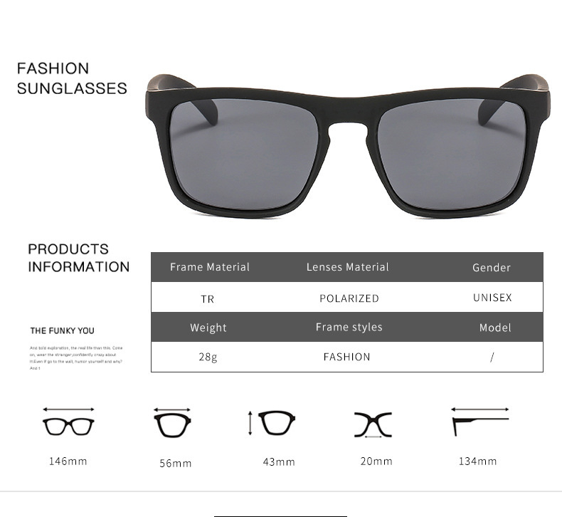 Polarized Sunglasses 1