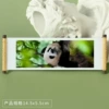 Panda 188