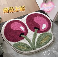 小清新半圆水果地垫卫生间门口吸水防滑垫家用入户进门仿羊绒地垫