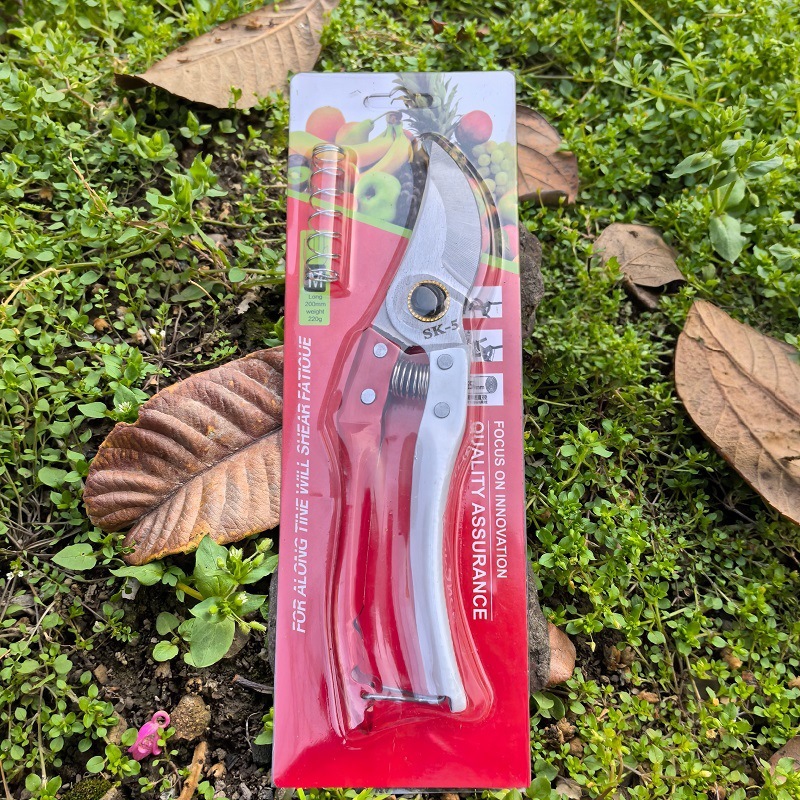 微信图片_20250302144733