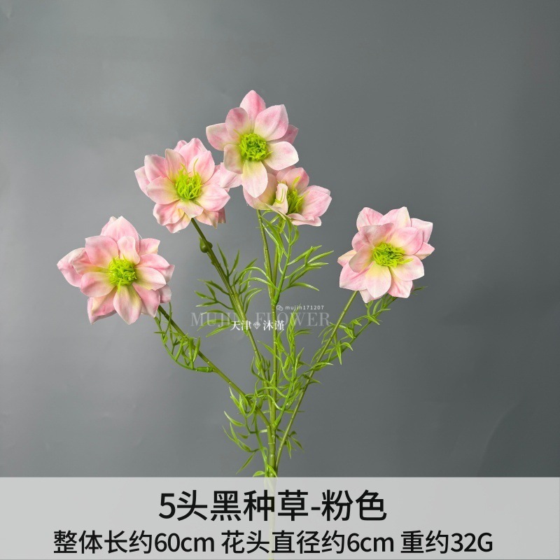 블랙 씨앗 포크 5개