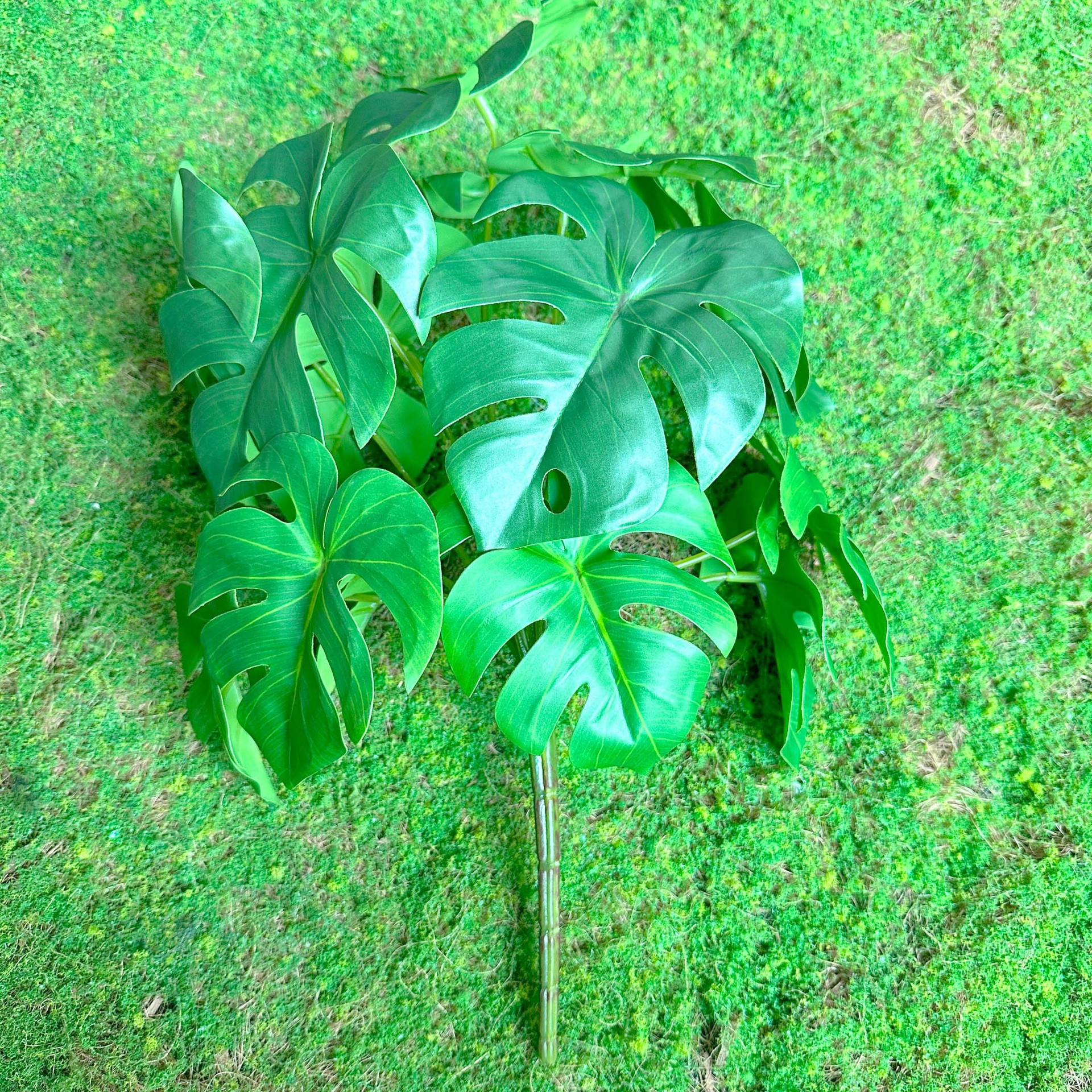 Fairy Cave tortuga hoja sentir arreglo floral hoja material planta esquina ventana belleza paisaje decoración artificial planta verde mango haz