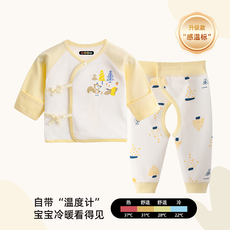 황색 다람쥐 세트