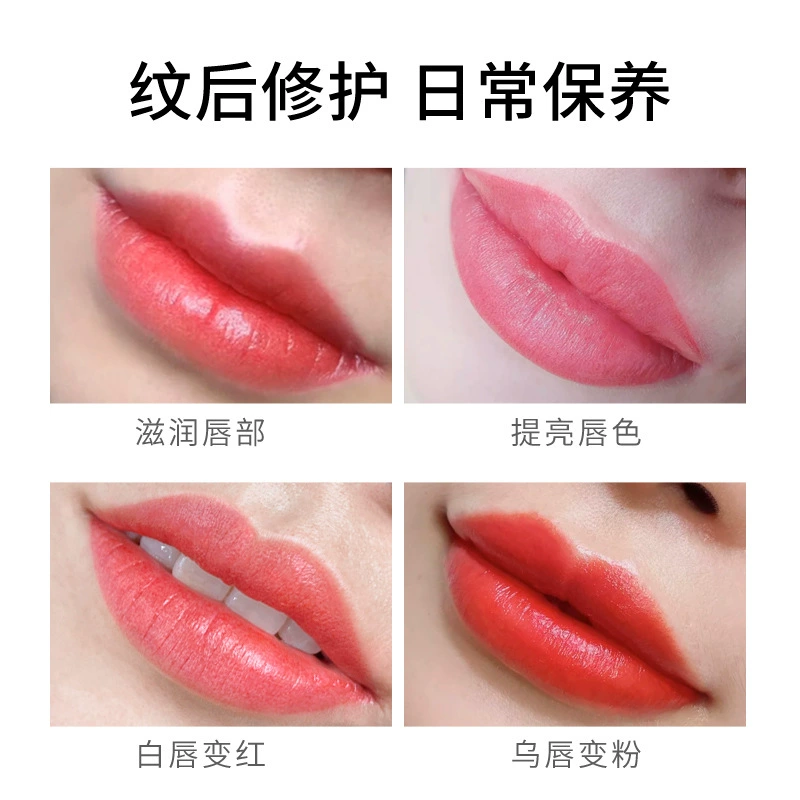 Lip Gloss (P.C.D) — Moisturizing Color Lip Protectant for After-Embroidering/Tattoo, Multi Shades