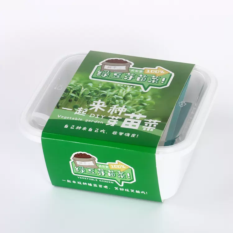 室内种植水培芽苗菜盆栽植物 办公室种植种植 花卉桌面新鲜蔬菜