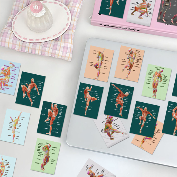 Physiological sticker