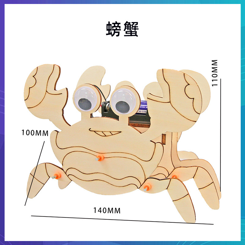 科学技術の小さい制作のstem科学の小さい制作の小学生の手の科学の実験の卸売りの子供のおもちゃの材料の包み|undefined