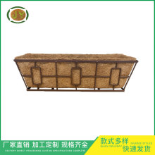 24���L����Ҭ�ػ��@���@�����̨�N��ֲ��Ҭ����|���l�ɽ����辰