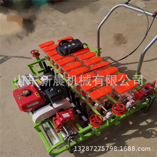����ʽ�۲˲��N�C�����C�����g����g�����C �߲�Ѩ���C