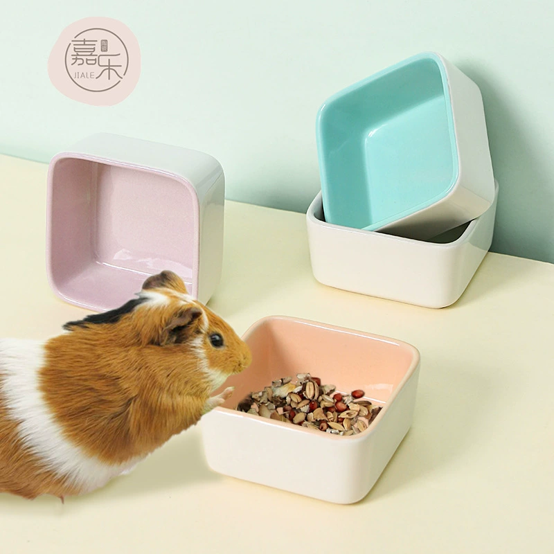 Трансграничная новая маленькая миска для домашних животных конфетного цвета Золотой медведь Ежик Антидетонационная кормушка оптом керамическая миска для хомяка