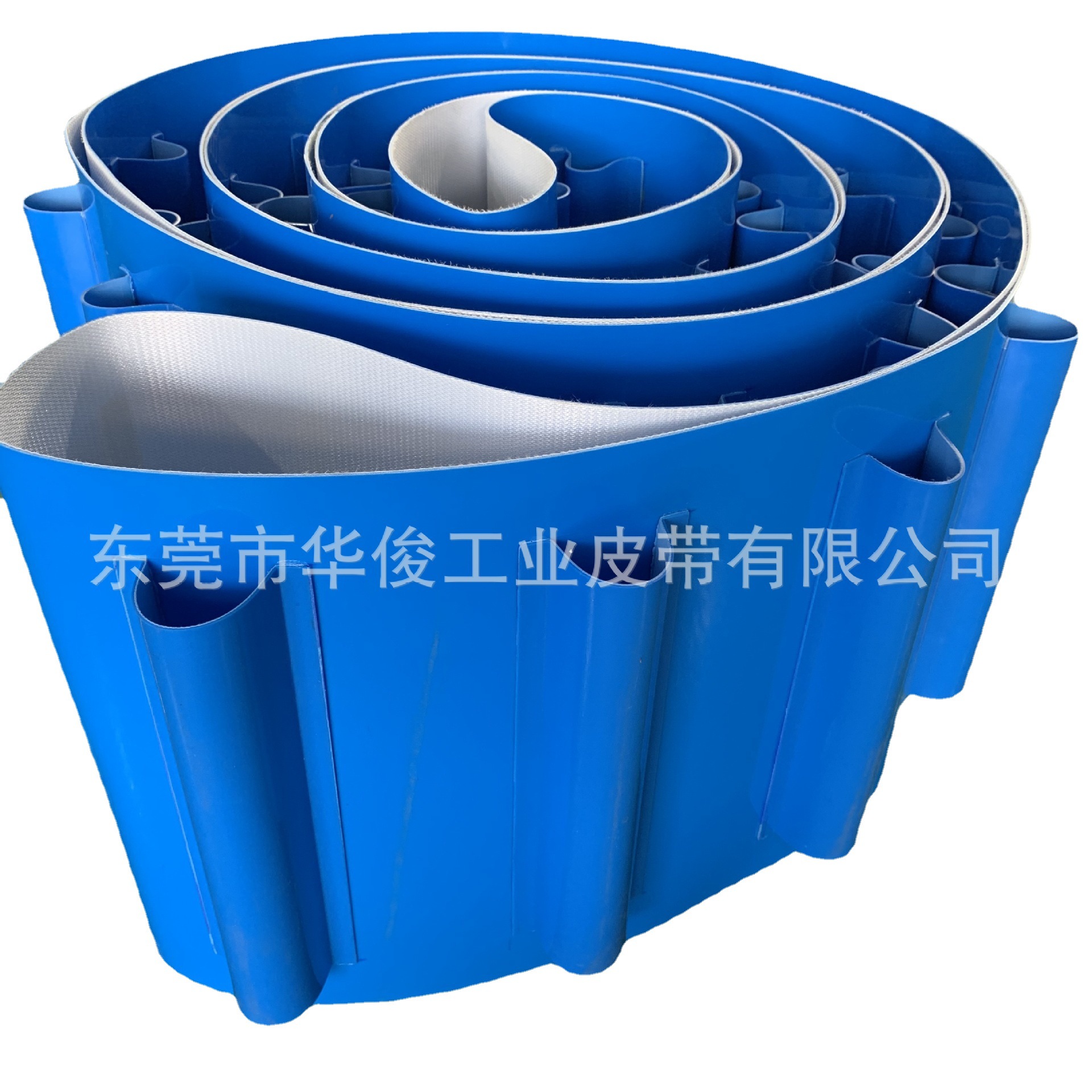 蓝色裙边输送带 果蔬分选输送带 水果汇集输送带