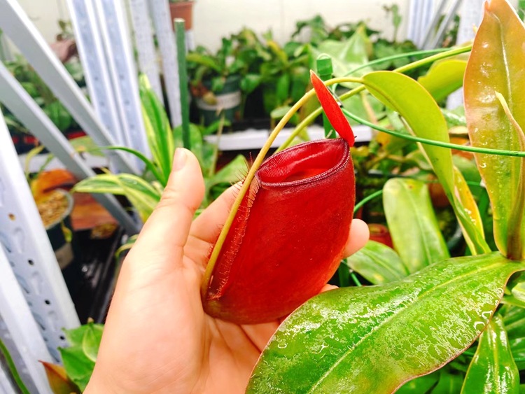 微信图片_20210520114044