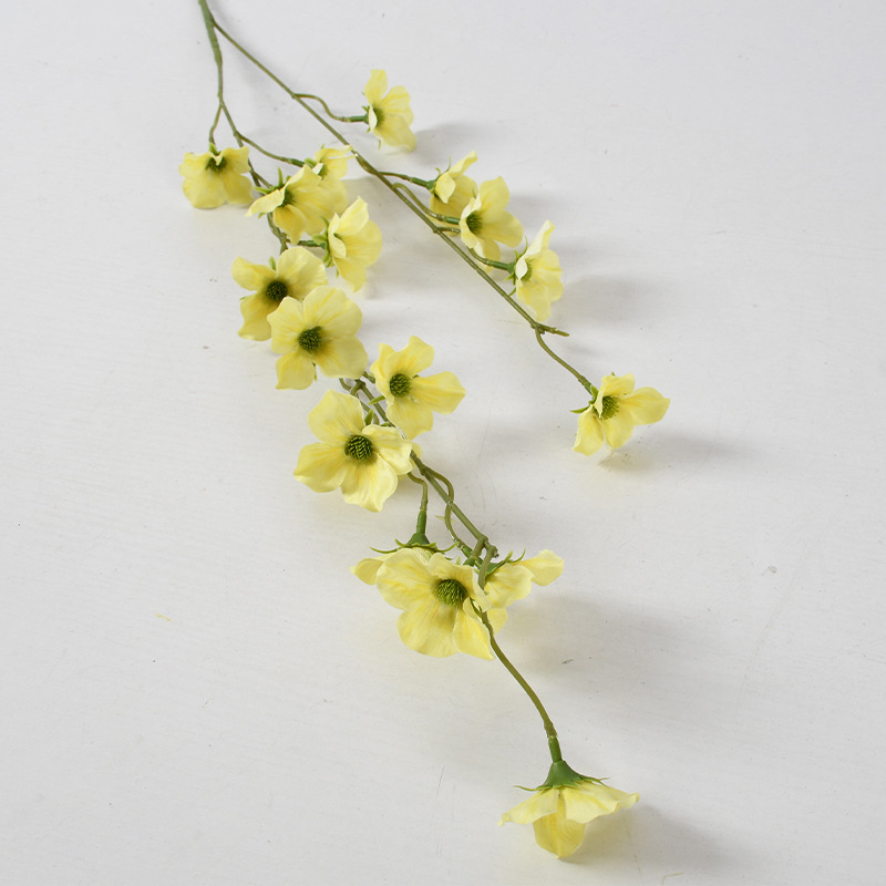 Manzano silvestre de rama alta