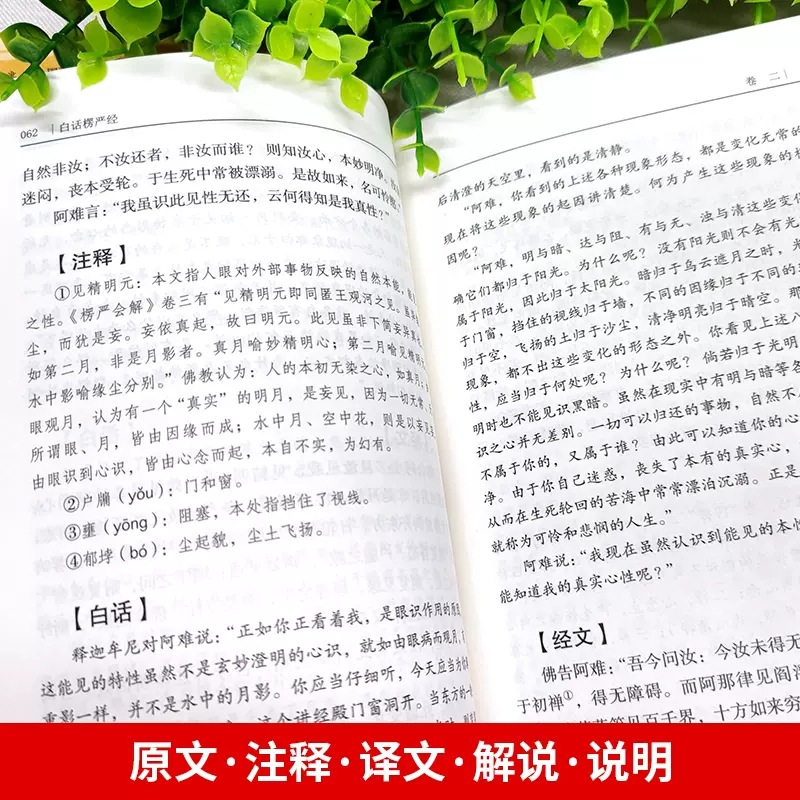 O1CN01Zigm7a1tK0Tpzj9br_!!2429