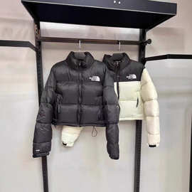 跨境北家肯豆刺绣女士休闲经典高腰短款面包服棉衣外套秋冬季立领