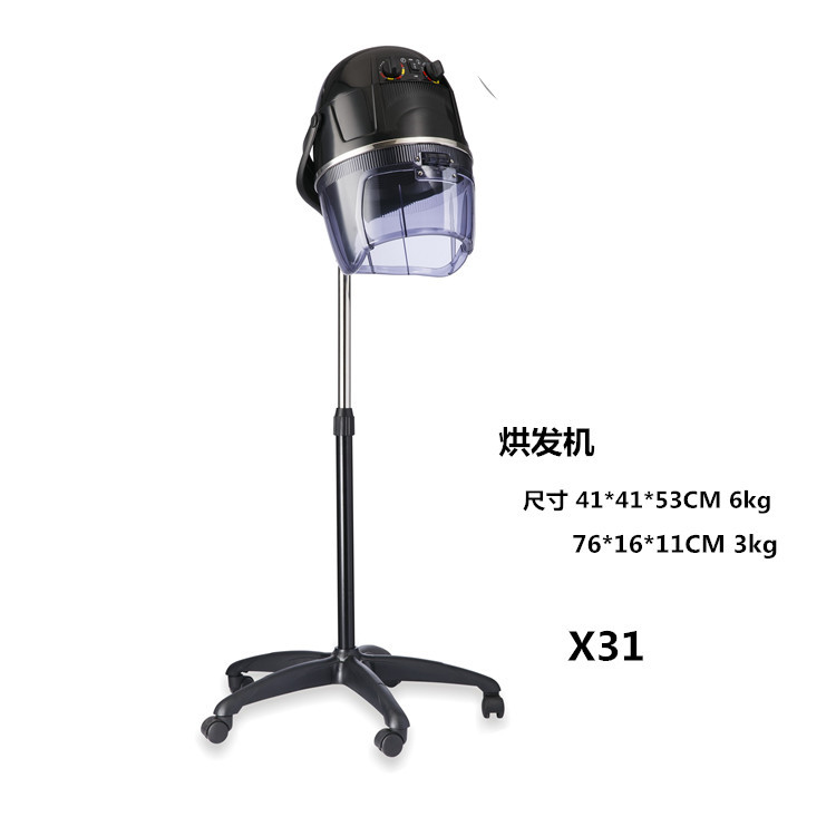 X31