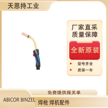 �� ABICOR BINZEL ������� ���� ROBO WH W 300