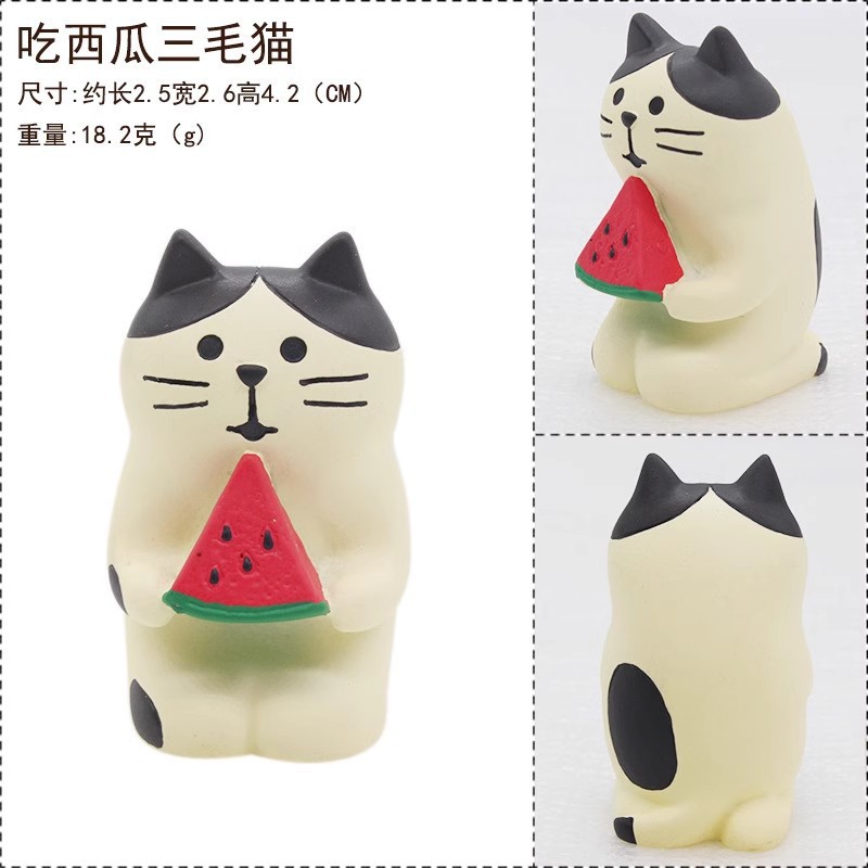 수박 흰 고양이