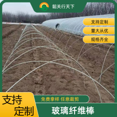 ガラス繊維農業用アーチ棚棒野菜ハウス支持棒中実ガラス繊維棒耐食ガラス鋼ステント