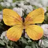 Silk 11CM Butterfly-Color Large 21
