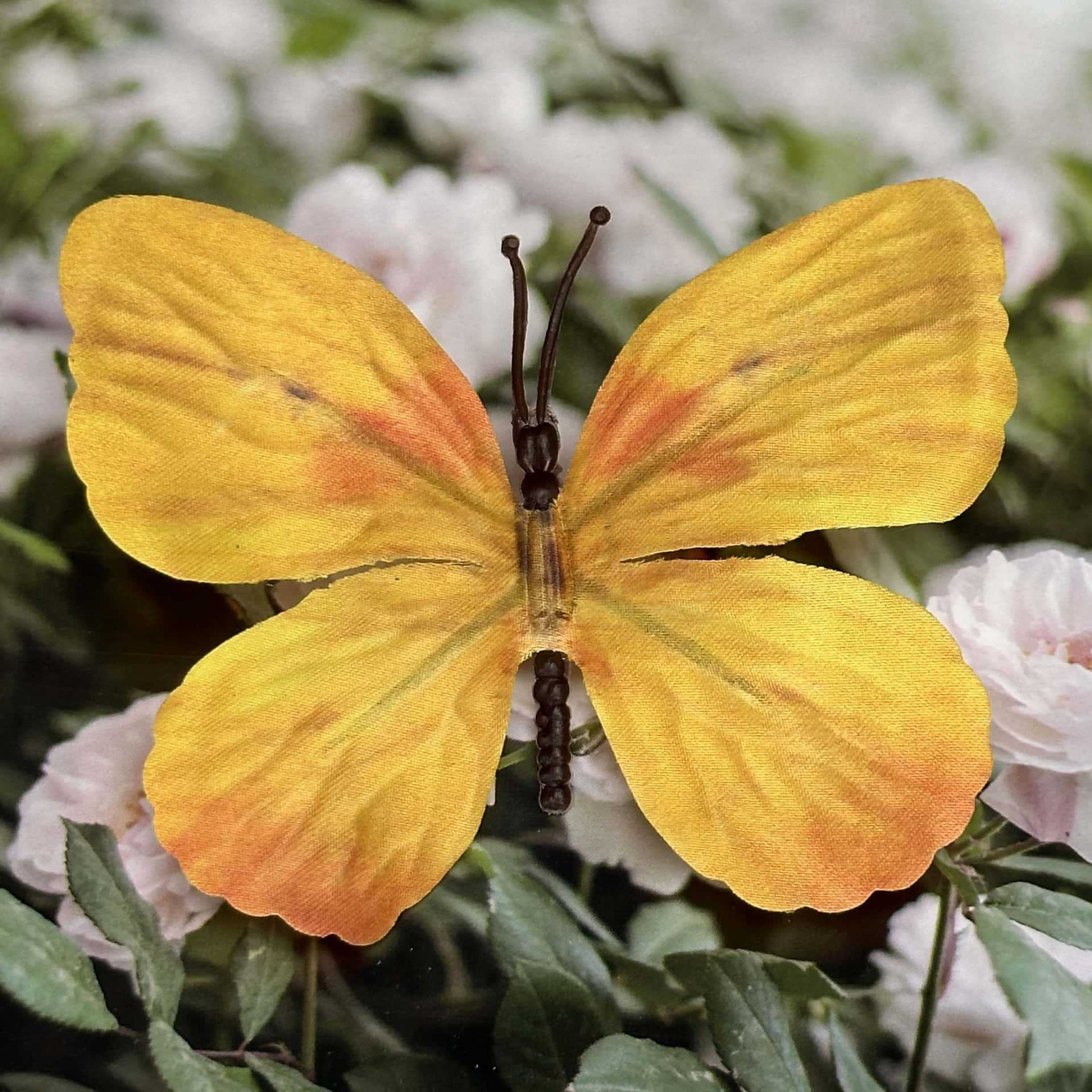 Seda 11CM color mariposa talla grande 21