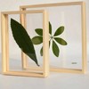 Wooden double-sided glossy photo frame, plant lamp, three dimensional transparent sample