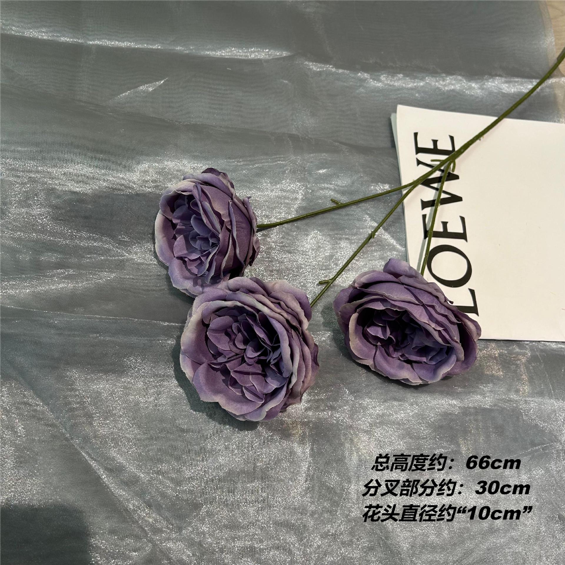 YQC 오스틴 로즈
