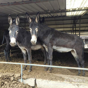 �Bֳ�������Hһ���������ٳ��깩��С�H�����H�x���H�̰��ɻ�