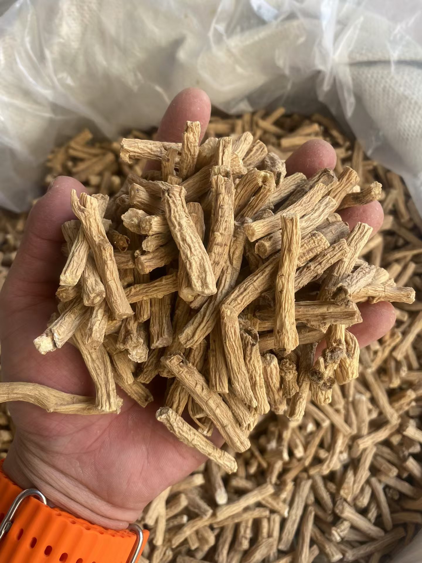 Dried Codonopsis Root Segments Gansu Minxian Dangshen for Herbal Soup overview