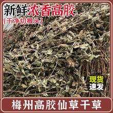 Ұɽ�V�|÷�ݟ��ɲݸɲݺڛ������߸�ԭ���ɲ��ۃ����˲ݼ@�~��؛