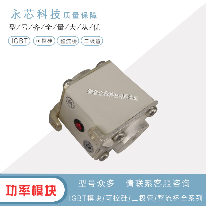 PC31UD69V450D1A 	M300023 全新原装双连体熔断器保险丝现货速发