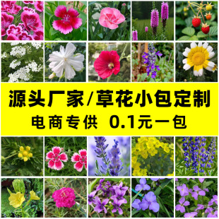 ��Ʒ�N���ܷN���ļ�ͨ�ü�ͥ�@ˇ�S�����l���N�׻��ļ��_��