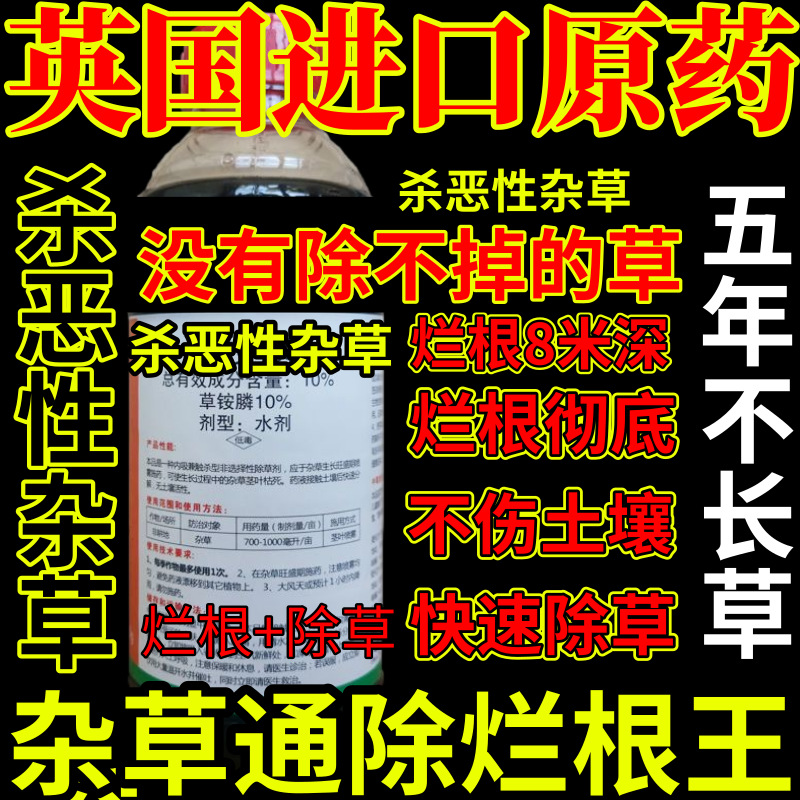 英国进口原药发精草铵膦铵盐杀恶性杂草除草剂果园烂根剂杀草王