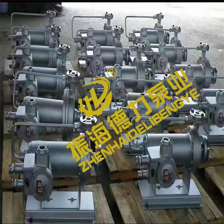 IMT Type canned motor pump