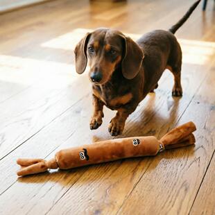 �¿�����ë�q�l�ں������c�����ҧ�␞������ߴ�С��Ȯͨ