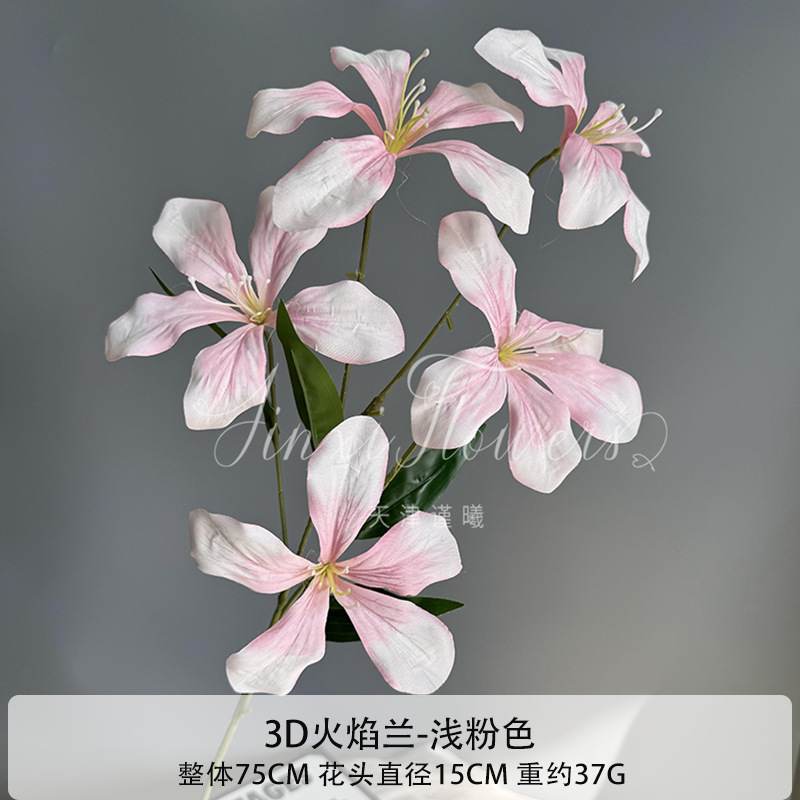 3D 불꽃 난초