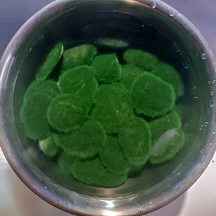 �L�q��ʯ�̽q��ʯ��N�m���K�r����ˮ�|�G��̺��Ȼˮ��ˮ��