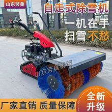 ··PѩѩCѩCѩCʽPѩOЧ๦