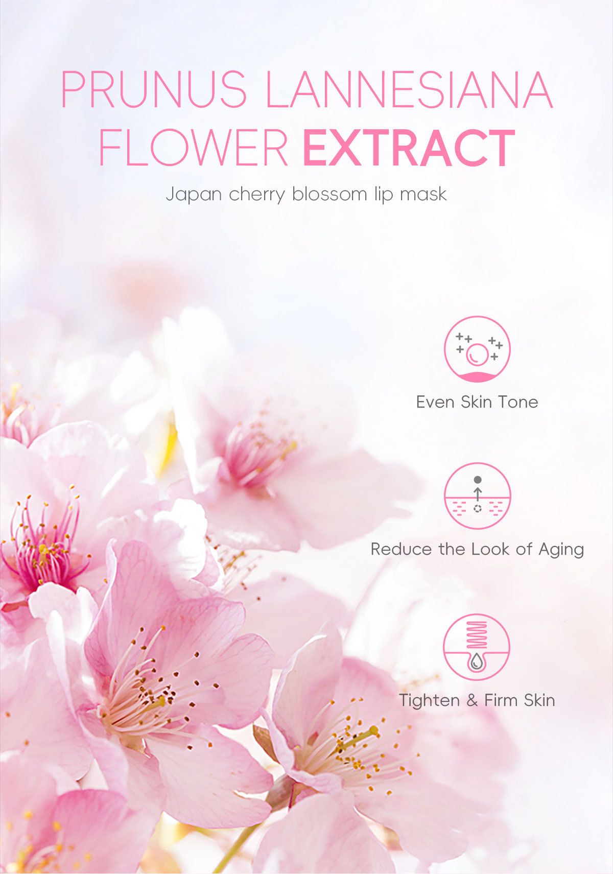 Cross-border Fenyi Japanese Cherry Blossom Lip Mask 15g Hydrating, Moisturizing and Nourishing Lip Beautifying Skin care lip Mask wholesale undefined