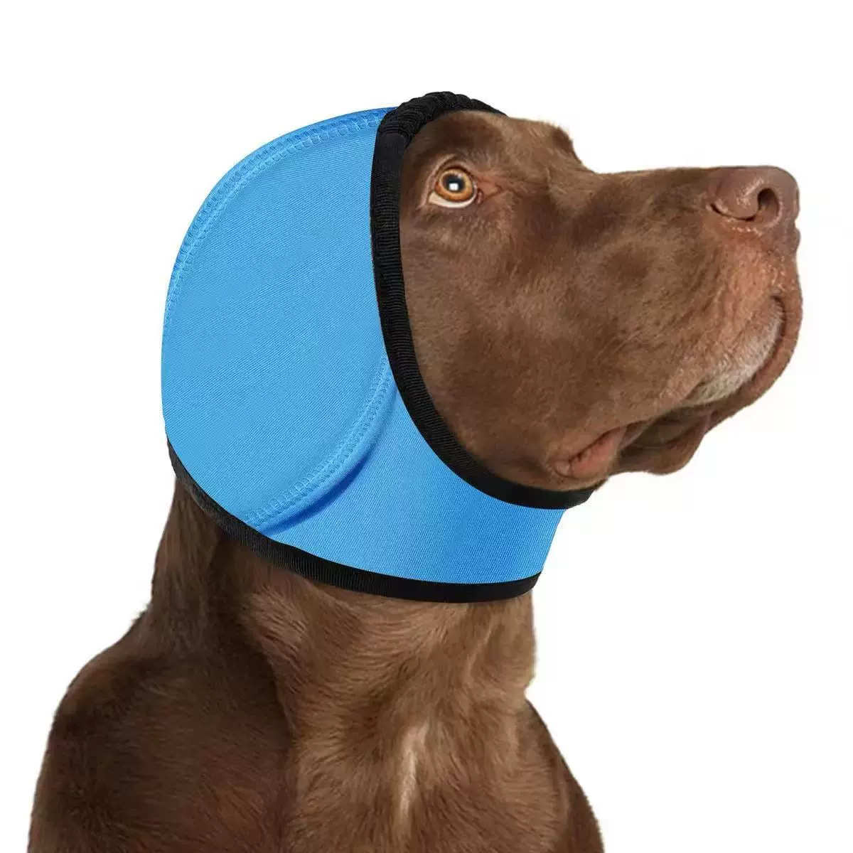 Orejeras para perros, gorro impermeable para natación en otoño e invierno, reducción de ruido, aislamiento acústico, calma emocional, antirreverberación, antiruido.
